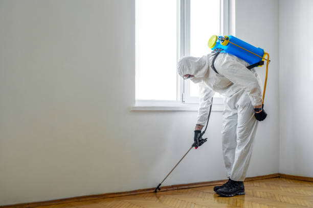 Best Real Estate Pest Inspections  in Franklin Lakes, NJ